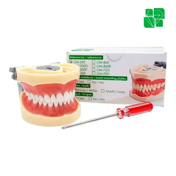 Tipodonto Adulto Multifuncional Tipo Nissi Dymax